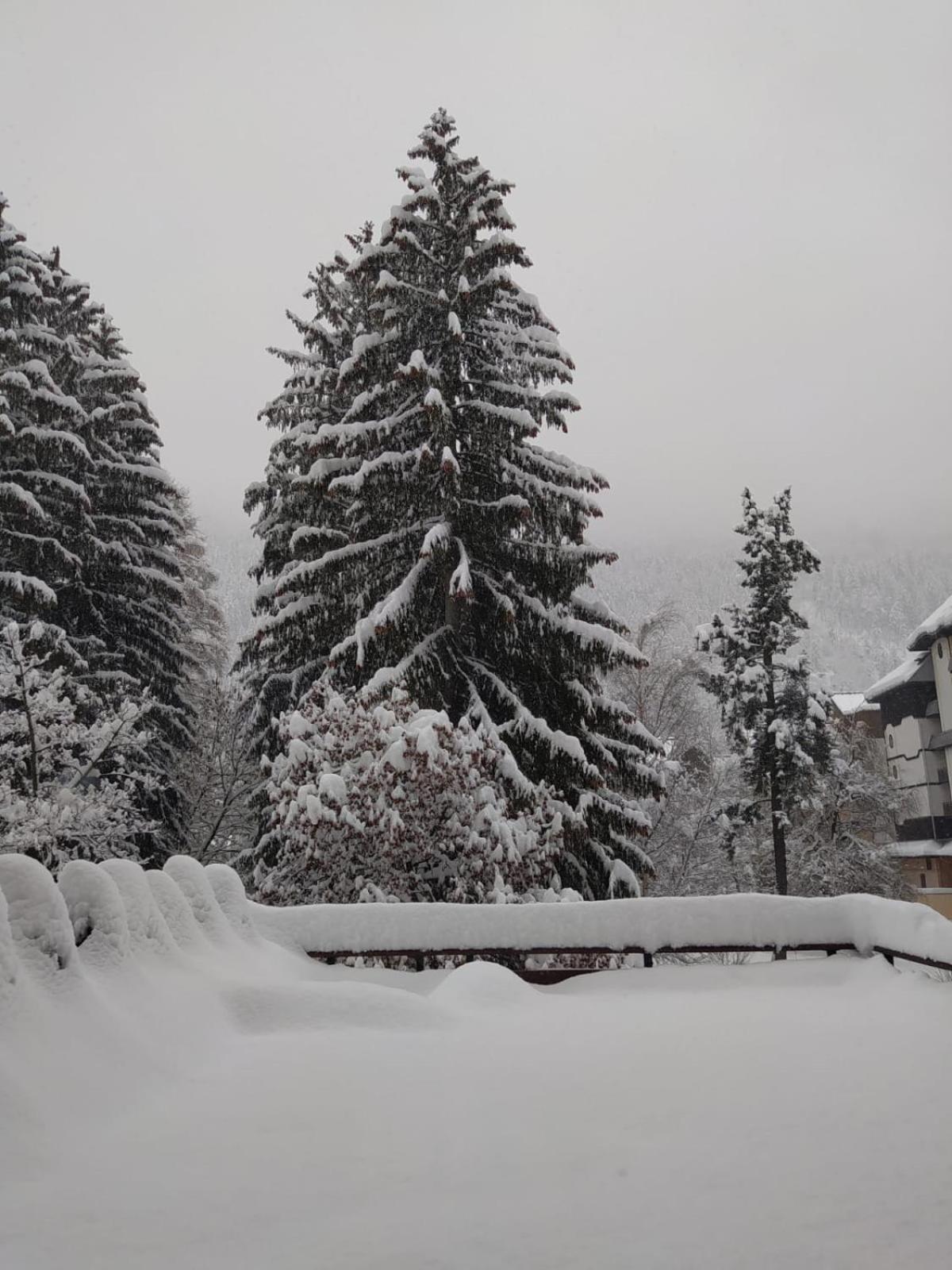 Mont Blanc View Chamonix Apartment Luaran gambar